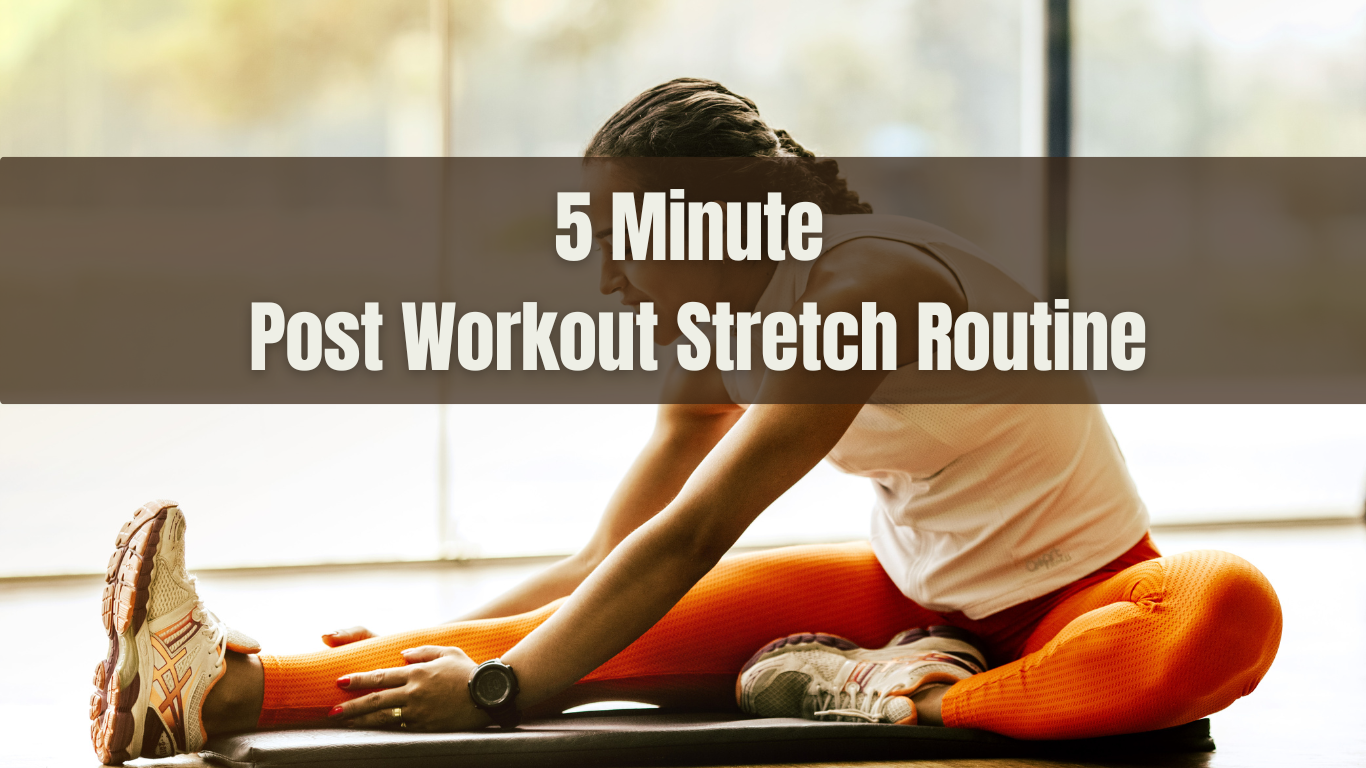 5 Minute Post Workout Stretch Routine